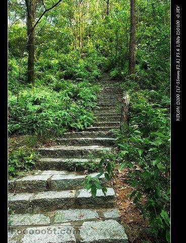 大夫山登山记