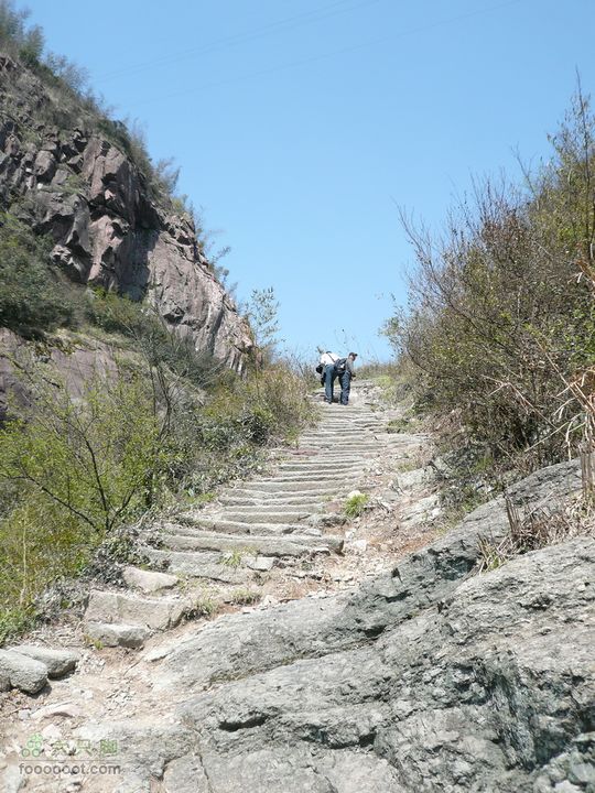 仙缙古道图片