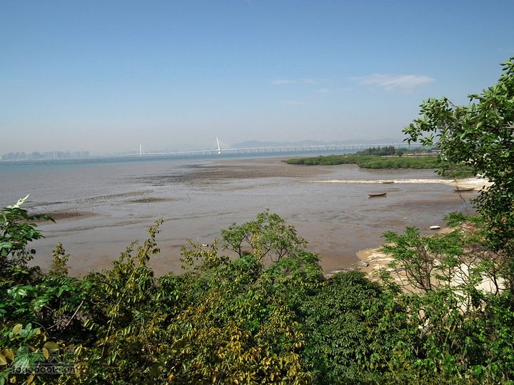 20110331元朗流浮山睇单车