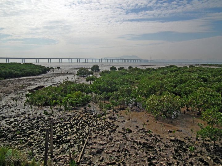 20110331元朗流浮山睇单车