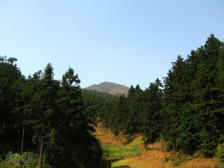 黄金山 景德镇图片