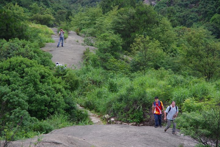 大羅山羅勝村一龍脊