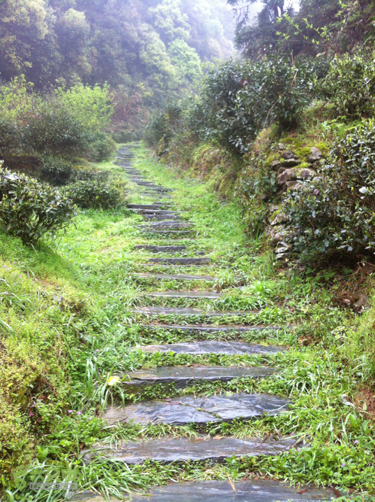 江西婺源理坑村古驿道行走