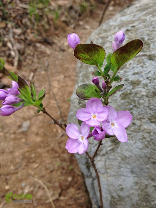 滁州琅琊山一日穿越20130405