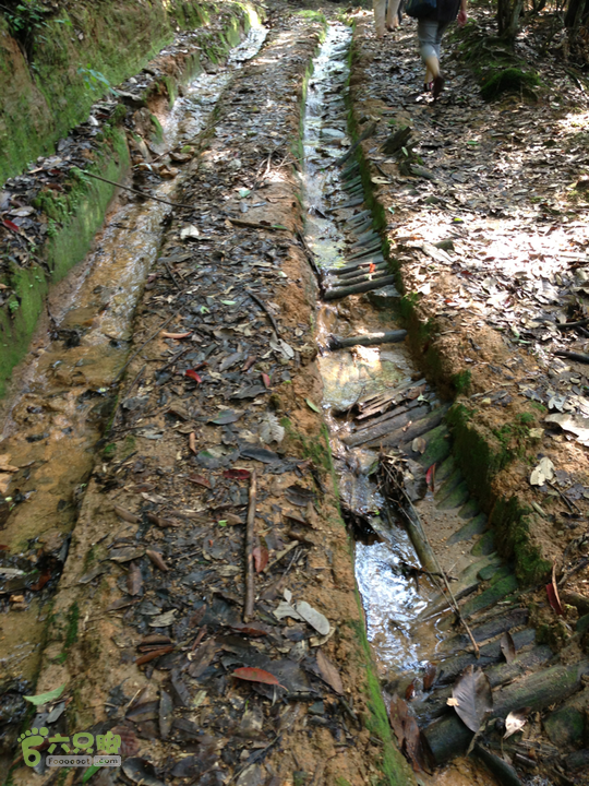 2013天玄观蛇子坑