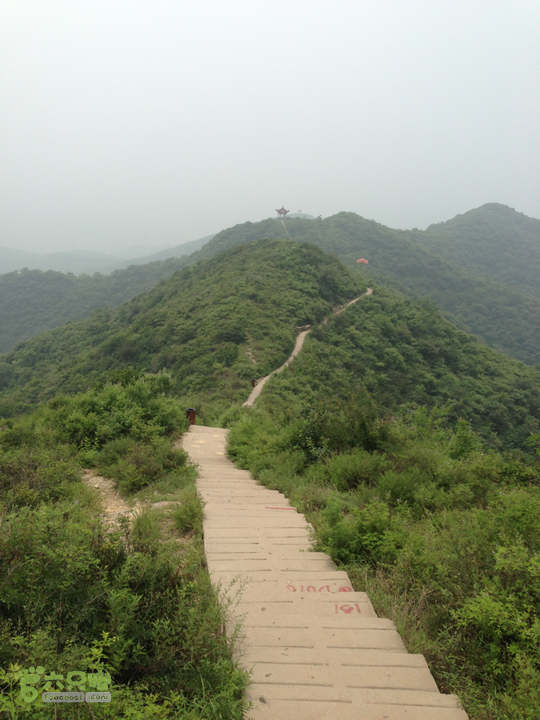 玉阳山溜腿2013-07-06 11:59:37_脚印_济源市_六只脚