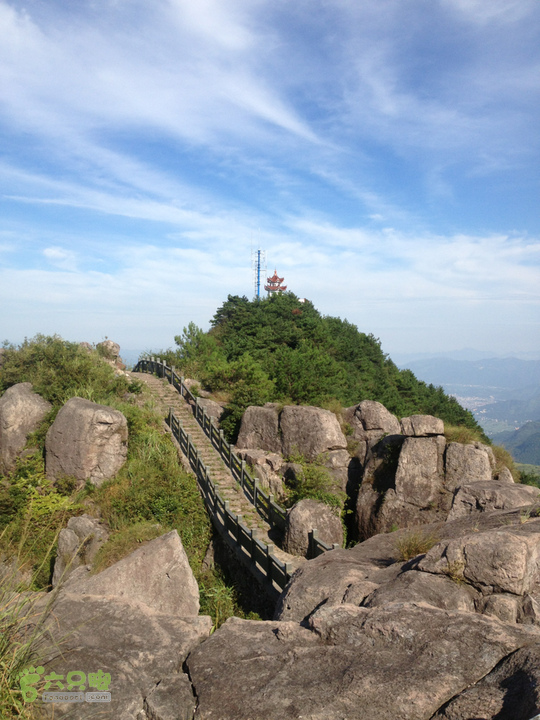 平阳满田森林公园门票图片