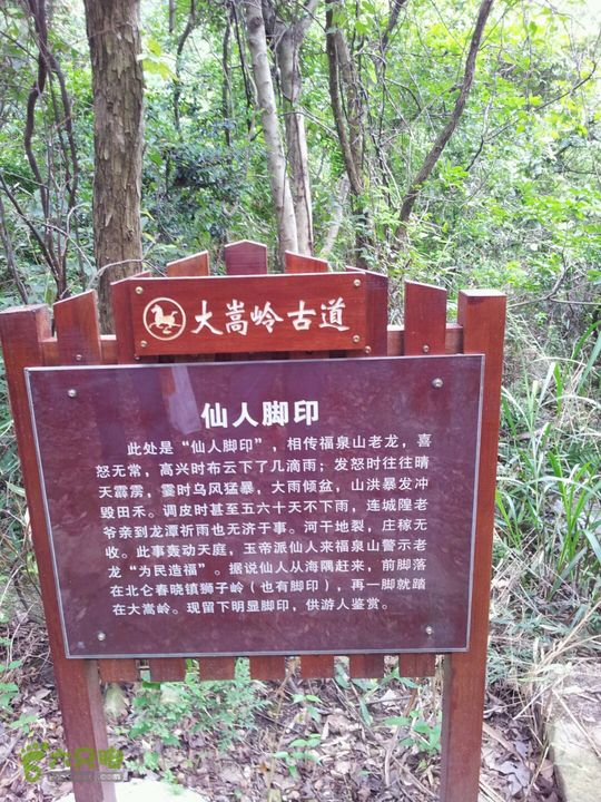 走吧洋山岙茶山大嵩岭上下仙人脚印一