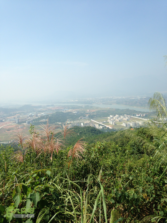 河源梧桐山公园图片