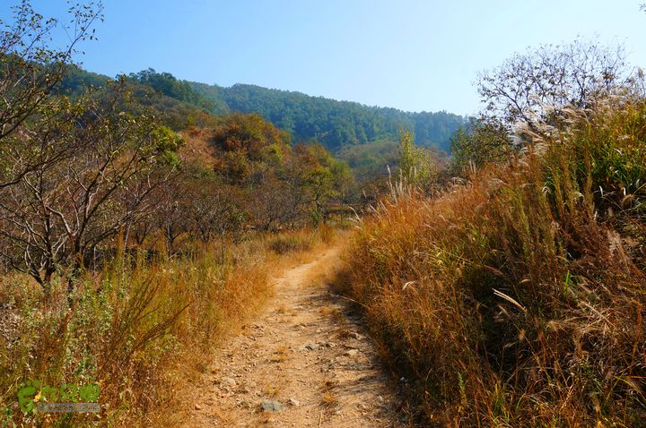 从黄巢经长峪黄尖子顶药乡到高而山间秋色