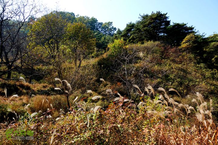 从黄巢经长峪,黄尖子顶,药乡到高而_行程_六只脚