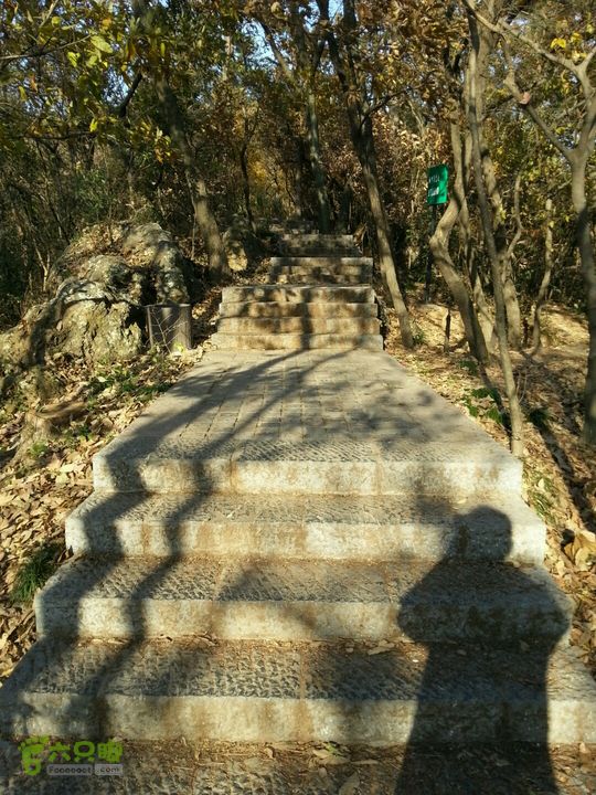 紫金山登山徒步穿越