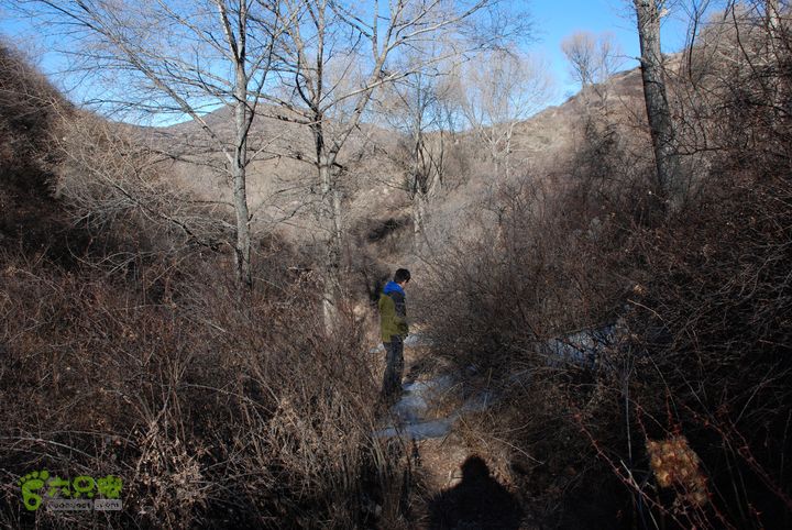 杜儿坪仙人坪狐爷山古交隧道
