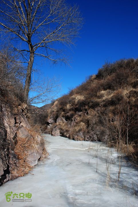 杜儿坪仙人坪狐爷山古交隧道溪边树