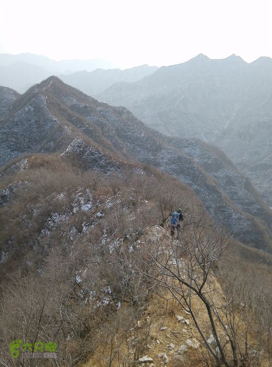 铁陀山任老师事件图片