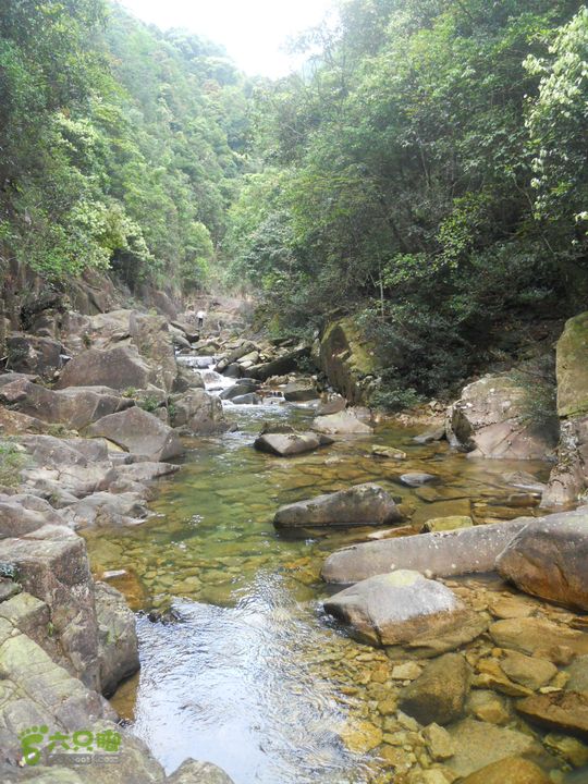 鵝凰嶂林中小溪_腳印_陽春市_六隻腳