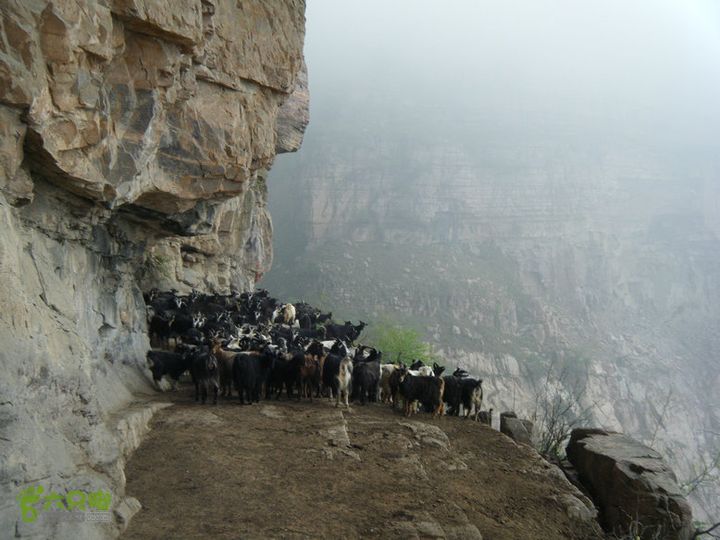 14426辉县张良洞dscf0015