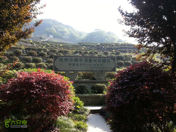 翁家山龙井山庄龙井村