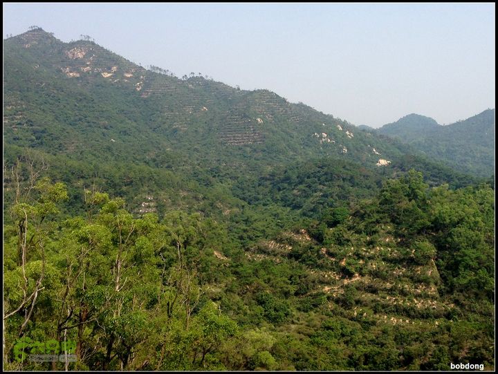 珠海鳳凰山_東坑a(龍西路)-頂-東坑b-ab在東坑a線上發現東面山脊上有