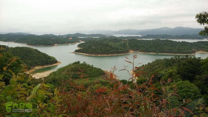 河源市至锡场镇