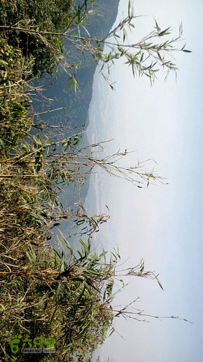 紫瑶山之行紫瑶山远眺山下_脚印_泰和县_六只脚