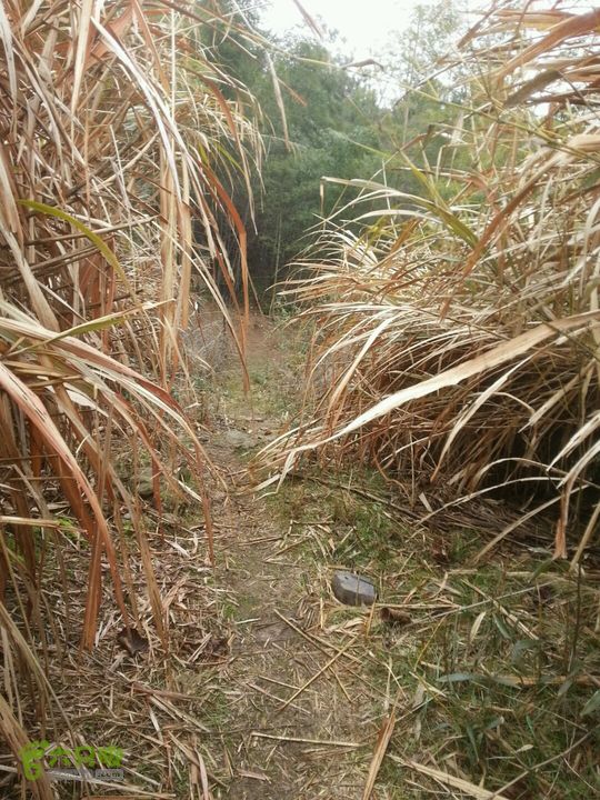 奉化葛竹跌水岩环线