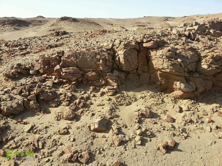 光谱第二天含砾粗砂岩