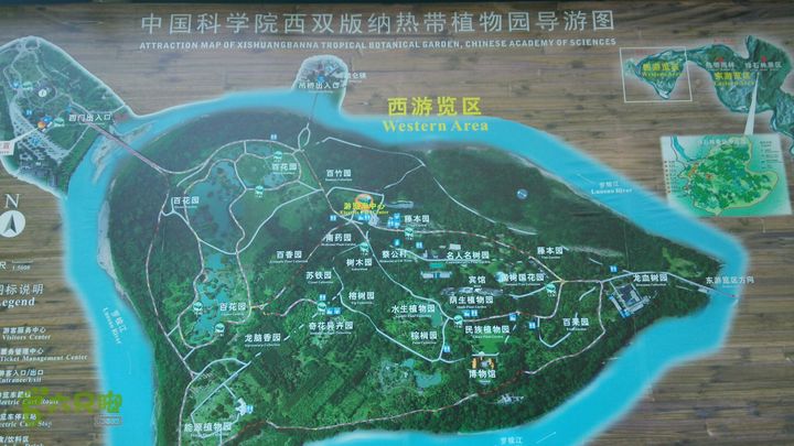 白玛云南行西双版纳勐仑中科院热带植物园