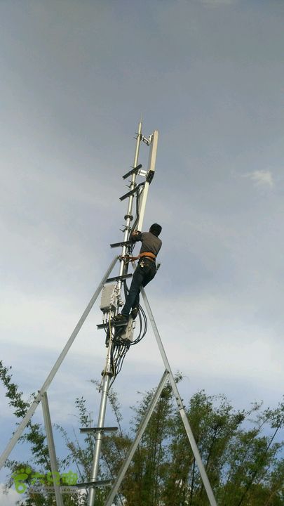 临沧分公司2015年lte项目工程永德户乃大青树设备安装董建平天线安装