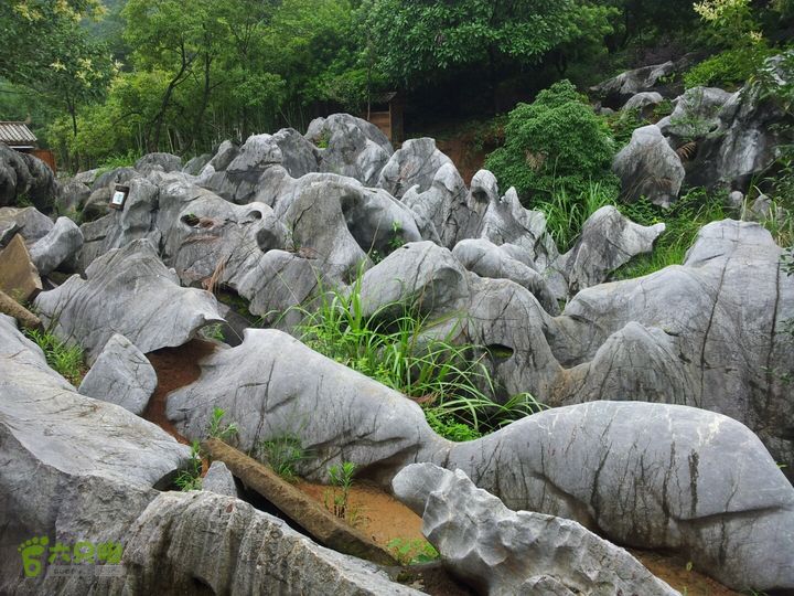 衢州常山三衢石林20000101211747