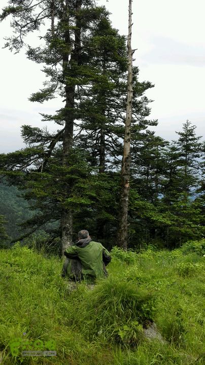 都督门老庙子跑马梁大爷海拔仙台铁甲树