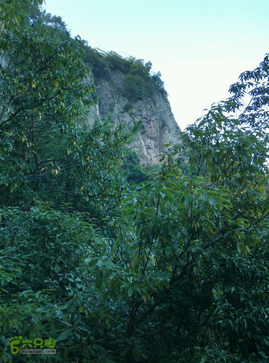 萧皇岩探险森林公园图片