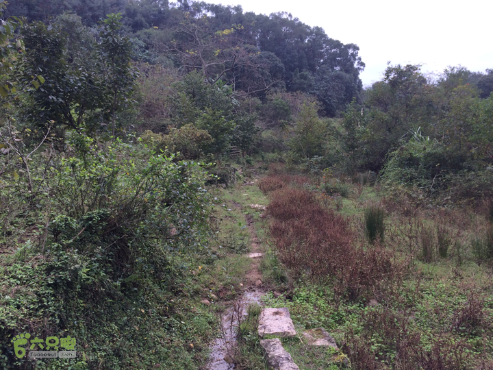 白眉水库－南洋村－石柱山－柳杉王公园－鳝溪－后溪站穿越2015-11-21 08:44:34_脚印_福州市区_六只脚