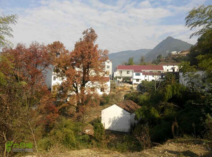 金华罗店三中鹿田水库智者寺环线