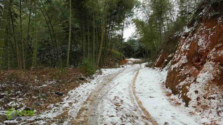 仓田村八面山